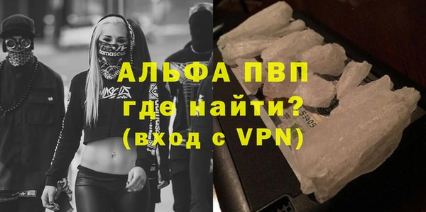 индика Арсеньев
