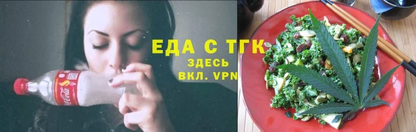 индика Арсеньев