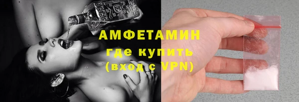 индика Арсеньев