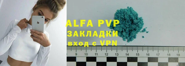 индика Арсеньев