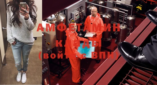 индика Арсеньев