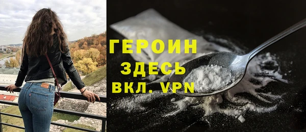 индика Арсеньев