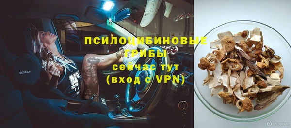 индика Арсеньев
