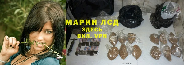 индика Арсеньев