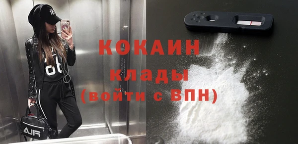 индика Арсеньев