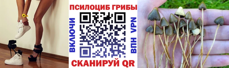 кракен маркетплейс  Холмск  Галлюциногенные грибы мухоморы 